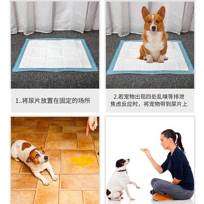 Puppy Pet Pads Dog wee Pee Pad training pad thick waterproof