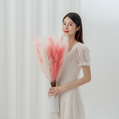 仿花漫真S妮潘帕斯草芦庆苇草INMW61212家居装饰跨境婚假花MW6121