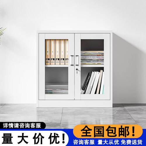 加厚玻璃对开办公室资料文件柜家用带锁抽屉阳台柜铁皮储物工具柜