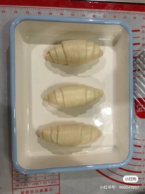 BALMUDA巴慕达烤箱怎么样老实讲一讲评测感受