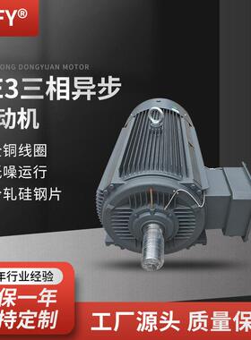 三相异步电动机 YE3-355M1/M2-8极电机 132/160KW 380V工业马达
