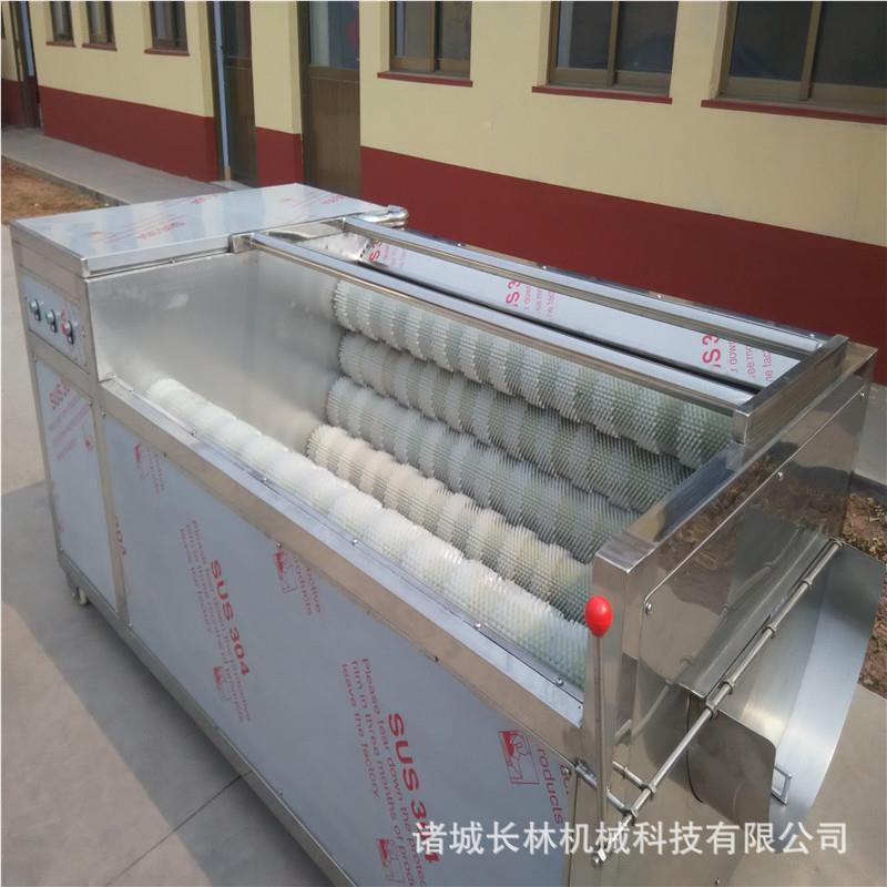 中草洗药毛刷清CRU洗机 人参清设备 去天麻毛泥辊清洗机