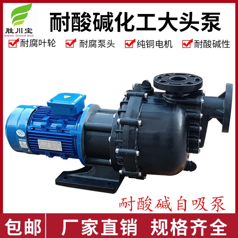 塑料大头马肚泵卧式耐腐蚀化工自吸式磁力泵脱硫泵电镀水冷循环泵