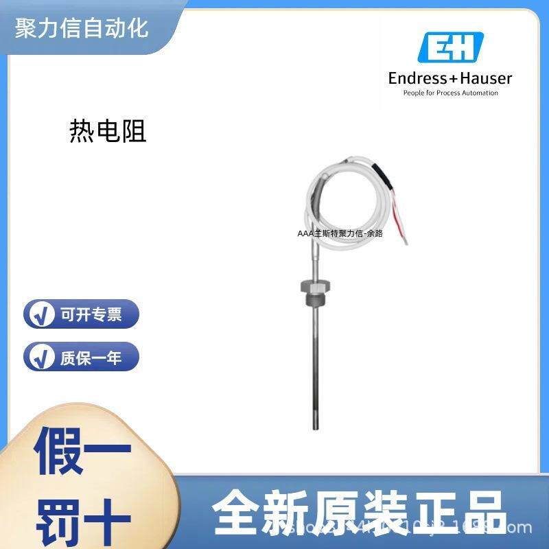 TMR31-A1BABBAG1AAA 恩德斯豪斯E+H 热电阻 - 实物图
