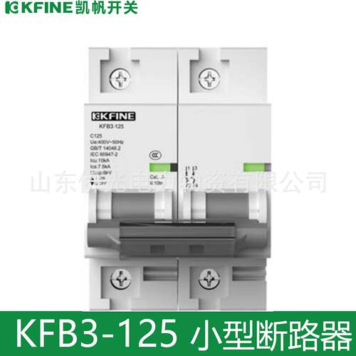 江苏大全凯帆断路器KFB3-125 2P3PD100A125A空气开关