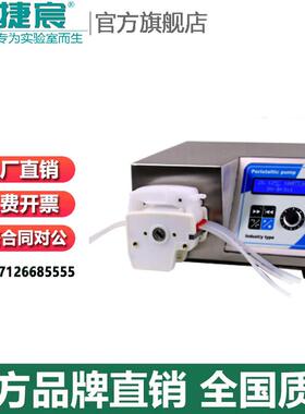 捷防宸仪量器G100-1L+G1001L+DG-工业型高护微蠕动泵