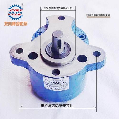 CBW齿型齿轮泵WC油B-16插入式SJK轮耳泵电机组卧式带朵齿轮油泵