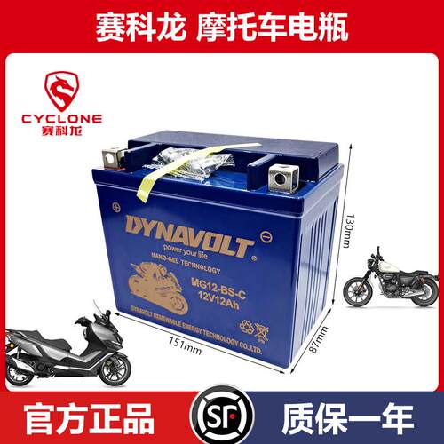 赛科龙摩托车蓄电池rt3 ra2 rt2 re3 rx3s rt1 rx1 猛狮原厂电瓶