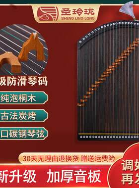 圣玲珑儿童入门小古筝可携式检定考试演奏半筝迷你21弦古筝专业练