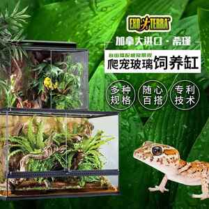 希瑾爬宠饲养缸玻璃饲养箱陆龟爬虫角蛙睫角雨林爬缸蜥蜴蛇守宫箱