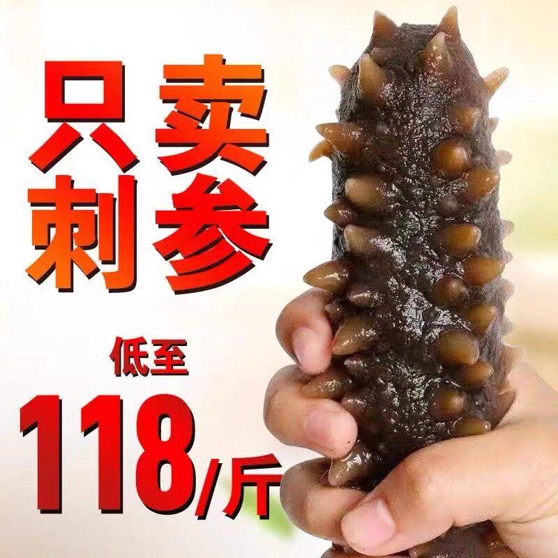 即食海参大连非淡干野生辽参刺参老人孕妇小孩鲜活水产海生海鲜