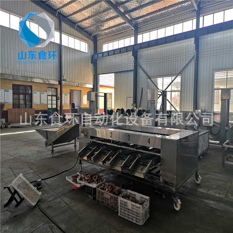 滚杠式果蔬大小分选设备 枇杷滚杠分级机 蛇皮果鸡蛋果分级机