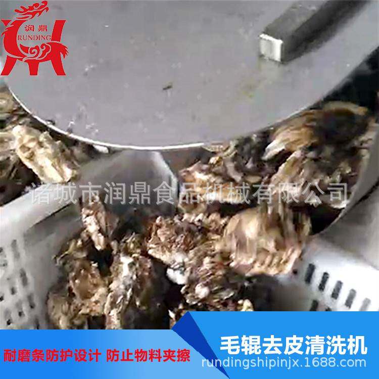 全自动海产品加工清洗不锈钢设备海鱼去鱼鳞毛辊清洗机生产厂家