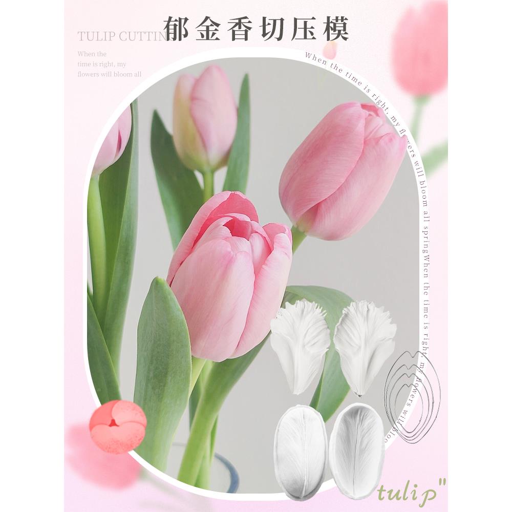 郁金香花瓣模具黏土翻糖花手工郁金香花叶纹路捏塑微缩花硅胶模具