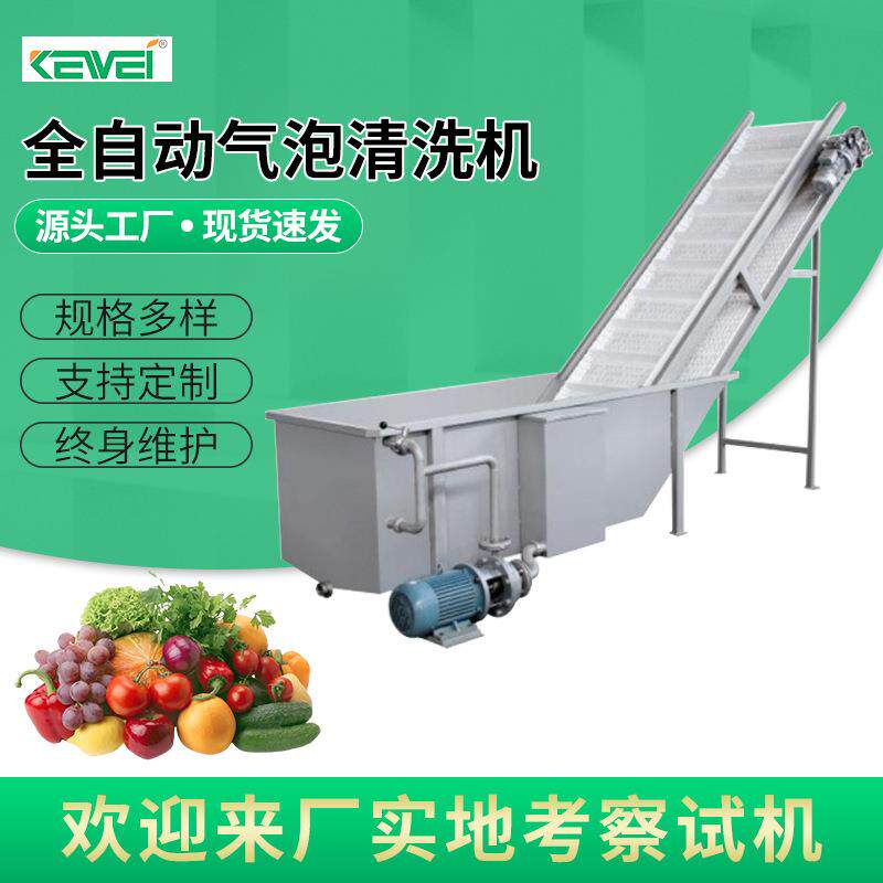 商用大型不锈钢全自动气泡清洗机喷淋式蔬菜杨梅蓝莓药材气泡