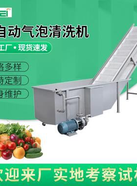 商用大型不锈钢全自动气泡清洗机喷淋式蔬菜杨梅蓝莓药材气泡