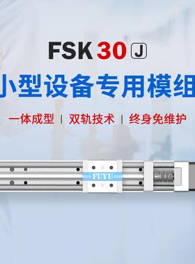 FUYU双轨丝杆滑台微型精密步进马达数控移动直线 线导轨线 线性模