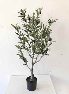 仿植真物装居饰假绿植盆栽摆RIY件家饰品加密仿真橄榄树现货