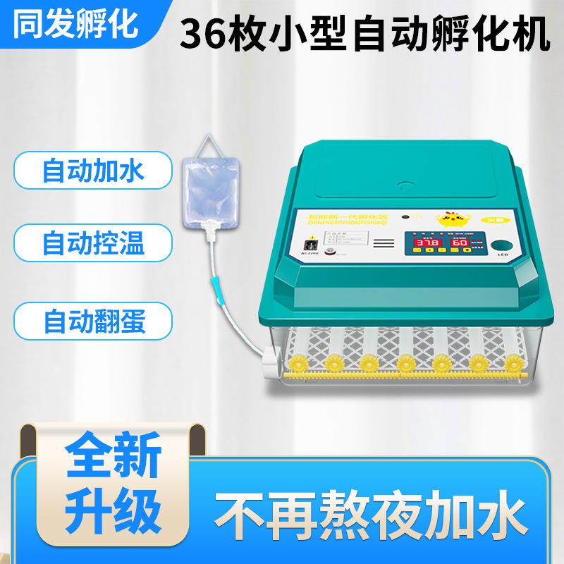 小鸡孵蛋器小型家用孵化器小型鸭鹅鸽子鹌鹑芦丁全自动智能孵化机
