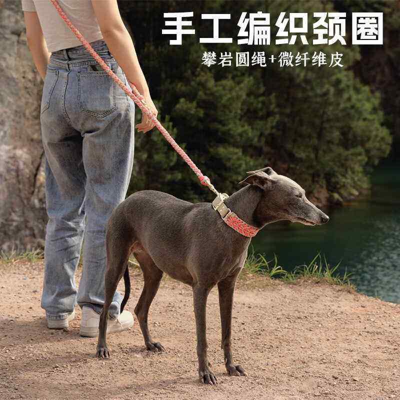 狗项圈纯手工编织牵引绳脖套中大型小灵缇惠比特细犬颈链遛狗绳子