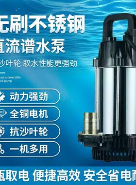 无刷直流潜水泵48v60v72v电动车电瓶车专用抽水泵浇菜农用灌溉机