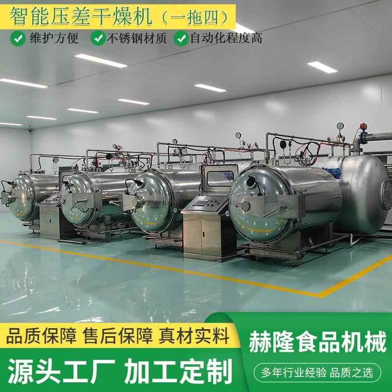 厂家供应苹果脆片真空低温干燥机水果脆反压差真空智能干燥机