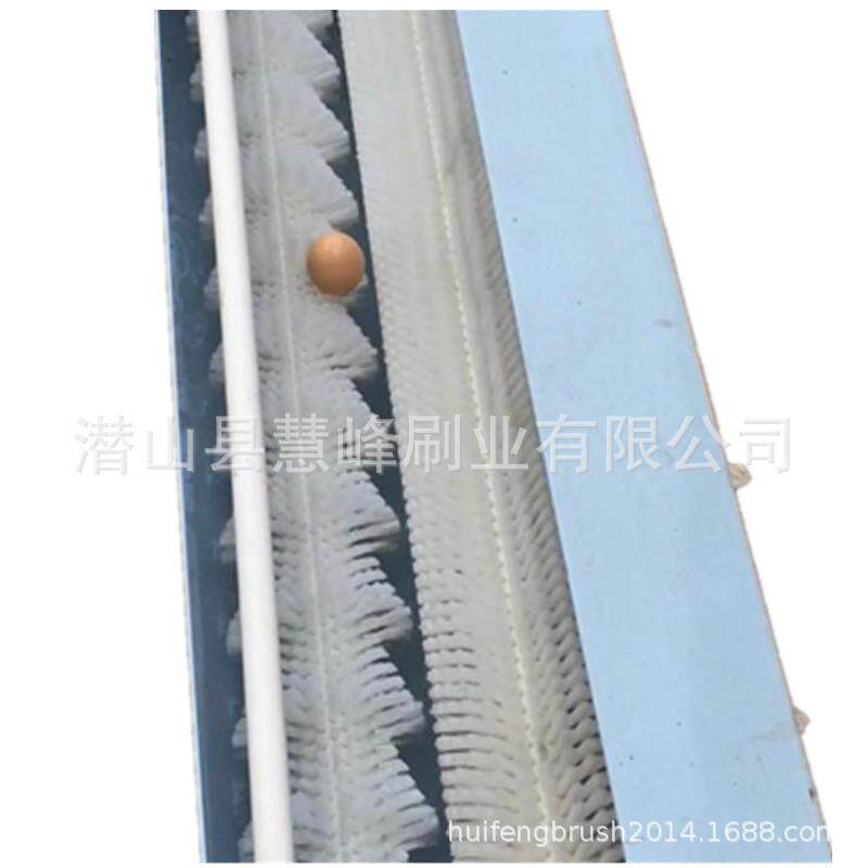 厂家直销鸡蛋鹅蛋鸭蛋清洗毛刷辊可以设计长度外径内孔尼龙丝毛刷