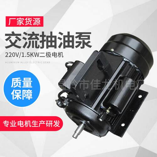 WCB机油铝合金电动齿轮交流抽油泵220V1.5W二极电机厂家货源