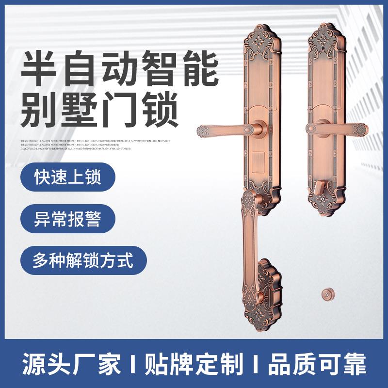 源头厂家全自动别墅门锁木门锁锌合金门锁高档欧式智能锁