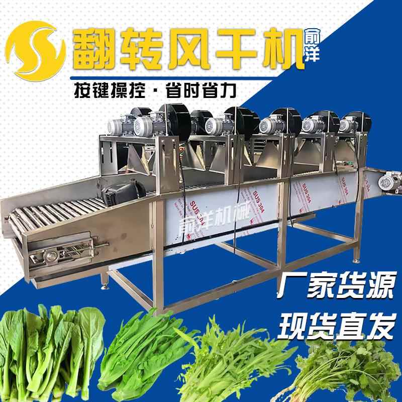 供应食品包装袋风干机全自动翻转式风干机软包装强流风干机