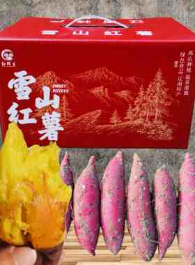 精选高端玛莎莉雪山红薯5斤礼盒黄金蜜薯康平地瓜新鲜小番薯山芋