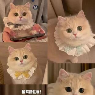 Mint-colored matching kitty neck warmer, princess cat bib, p