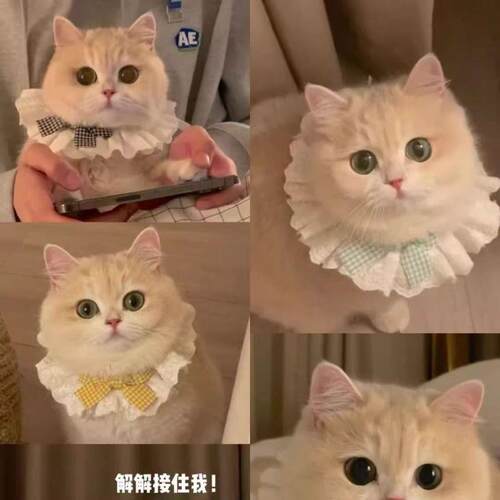 Mint-colored matching kitty neck warmer, princess cat bib, p