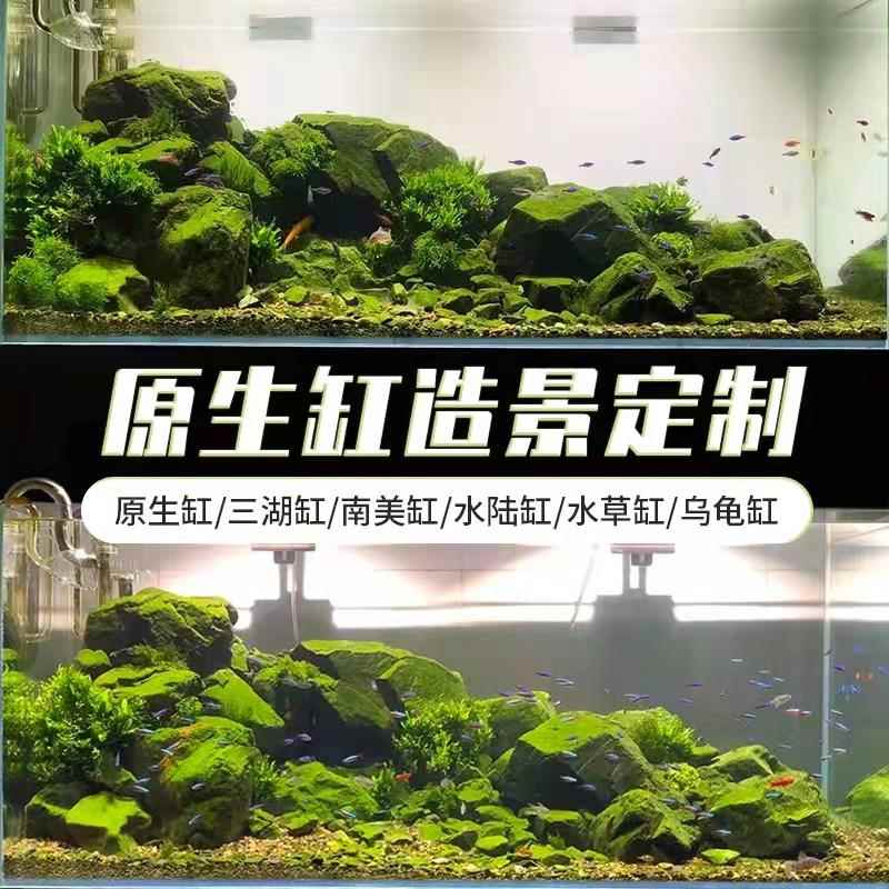 鱼缸造景溪流缸造景原生缸造景套餐南美缸三湖缸水族箱鱼缸全套