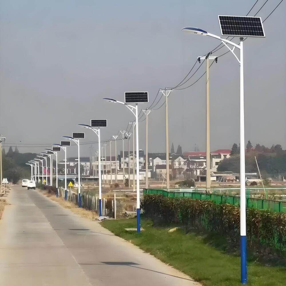 太阳能路灯户外灯市电高杆超亮全套新农村4米5米6米8米LED路灯