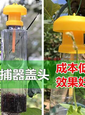 果蝇诱捕瓜果实蝇菜地果园防虫诱剂引诱剂内含盖头抓器药水针蜂