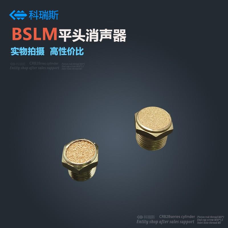电磁阀平头消声器 BSLM-01 BSLM-02 BSLM-03 BLSM-04 BSM-06 分