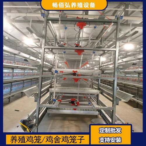 框架肉鸡笼鸡舍养殖用镀锌工艺层叠式全自动鸡笼外贸全套