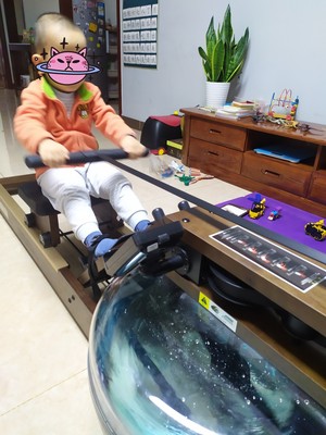 海德智能水阻划船机怎么样?多少人是买了不后悔?