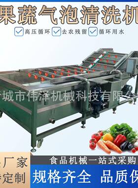 压喷淋气泡清洗机商用洗菜机云南小黄姜辣椒萝卜果蔬清洗设备
