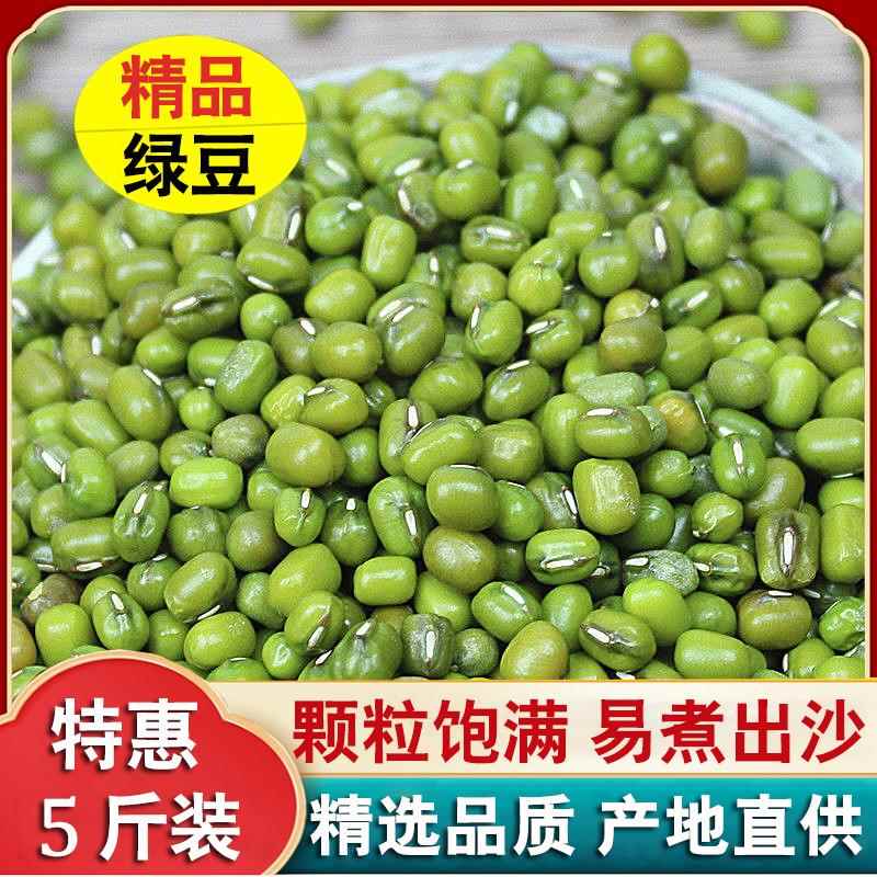 河南绿豆新鲜精选绿豆煮粥