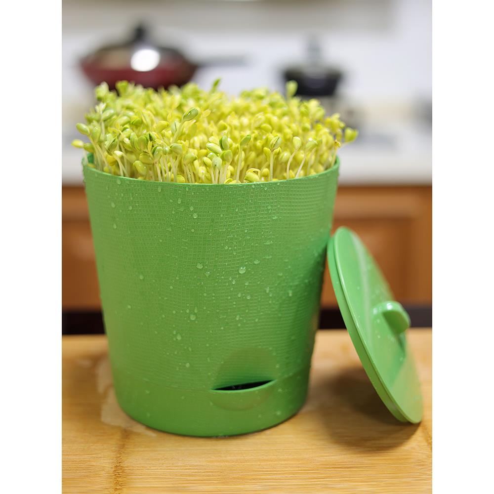 豆芽机家用育苗盘豆芽菜桶生绿豆黄豆发芽盆豆芽罐种植塑料盆