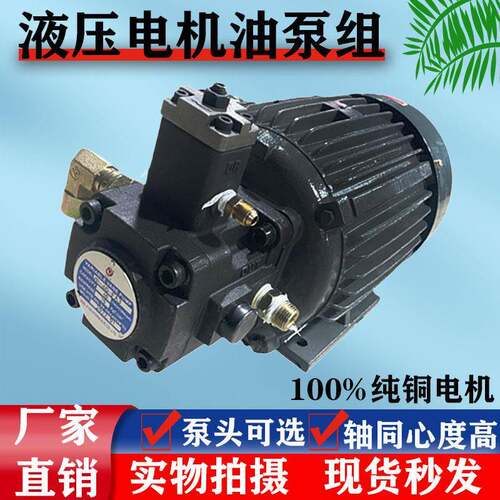 液压油泵电机组内插式0.75KW+vp20 1.5kw 液压帮浦总成内轴液压电