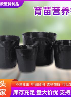 黑色农用塑料育苗盆营养杯育苗杯种植袋简易营养袋育苗袋营养钵