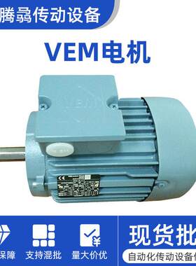 德国VEM 机械设备电机0.75W 21三相异步马达电动机厂家