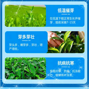 崔芽素强力爆芽尖王生芽壮芽素生根剂 茶叶催芽剂 茶树专用叶面肥