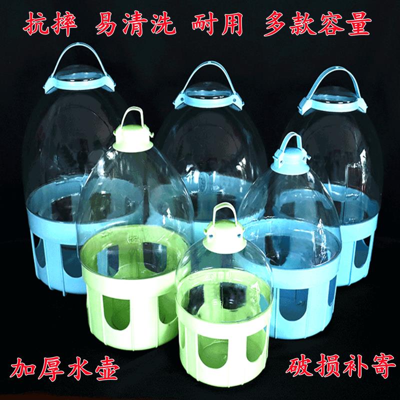信鸽用品鸽具博翔鸽子饮水器透明赛鸽水壶鸽子用具鸟用喝水壶水槽