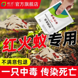 灭蚂蚁红火蚁药全窝非无毒端室内户外农用菜地家用杀除蚁药专用粉