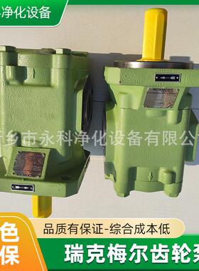 瑞克梅尔R65/315 FL-Z-DB-SO齿轮泵防冻剂输送泵RICKMEIER