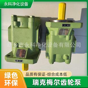 瑞克梅尔R65/315 FL-Z-DB-SO齿轮泵防冻剂输送泵RICKMEIER